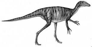Troodon jenis dinosaurus pemakan daging
