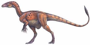 sinosauropteryx jenis dinosaurus pemakan daging