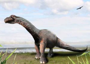 fakta gambar brontosaurus