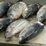 10 Cara Menghilangkan Bau Amis Ikan Dengan Mudah