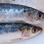Ciri-ciri Ikan Segar dan Bagaimana Cara Memilihnya