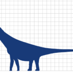 Daftar Dinosaurus Terbesar Berdasarkan Jenis